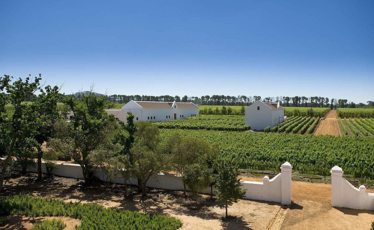 Babylonstoren Weinberge Weinberge umgeben die Luxuslodge in Südafrikas Winelands