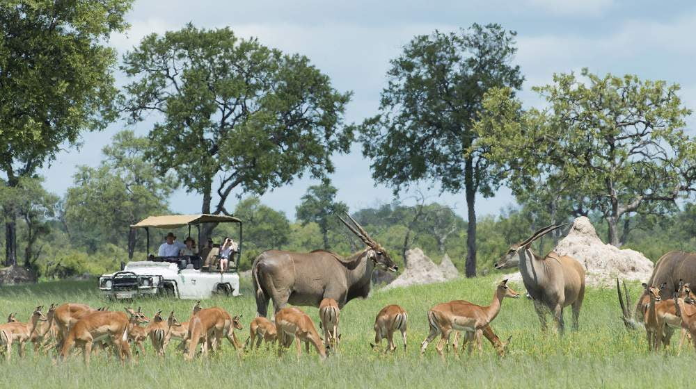 Davisons Camp Wilderness Safari Hwange Nationalpark