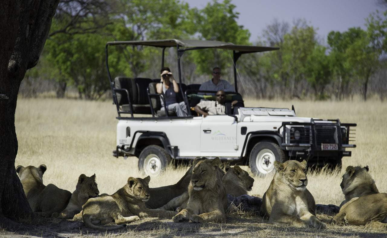 Pirschfahrt im Hwange Nationalpark