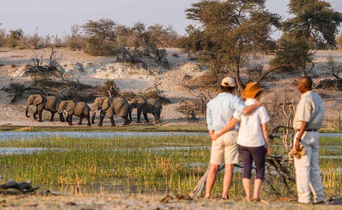 Große Botswana Safari Leroo La Tau Pirschwanderung