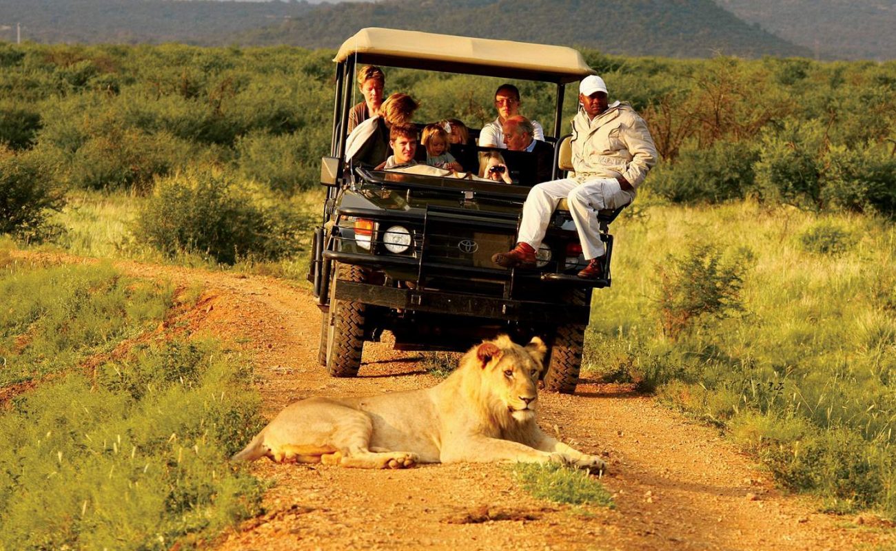 Pirschfahrt im Madikwe Game Reserve