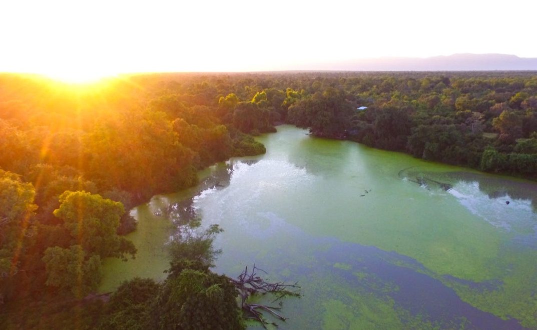 Mana Pools in Zimbabwe