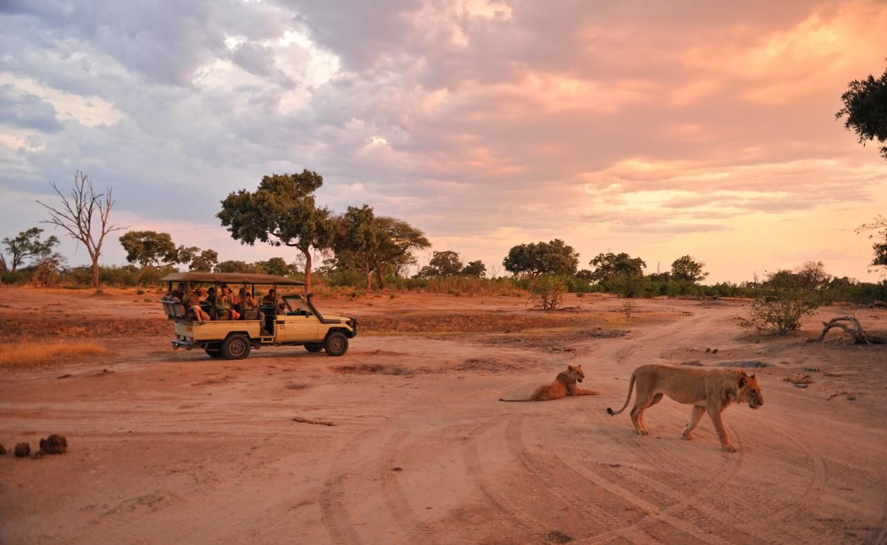 Pirschfahrt im Hwange Nationalpark