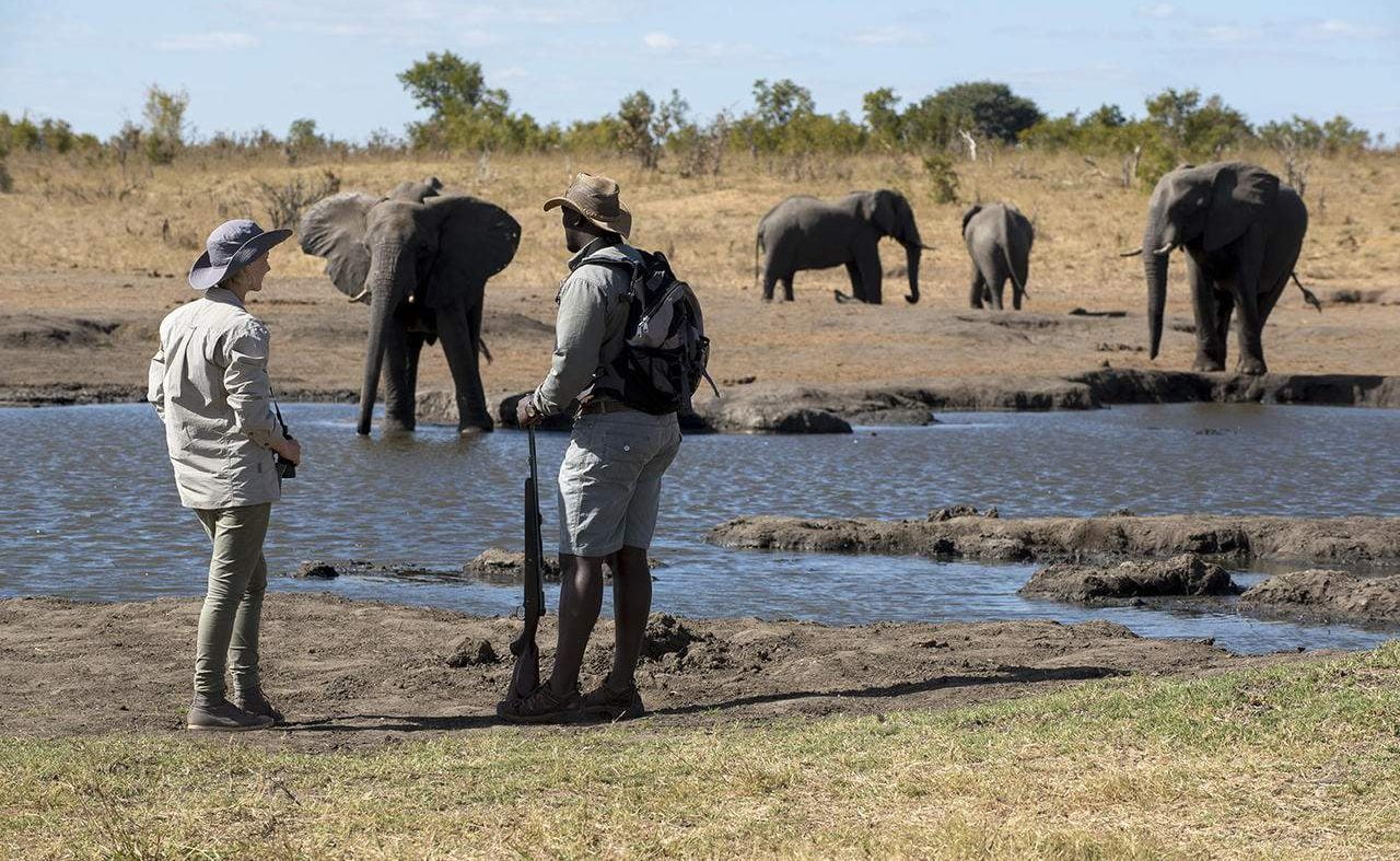 Wlking Safari im Hwange Nationalapark