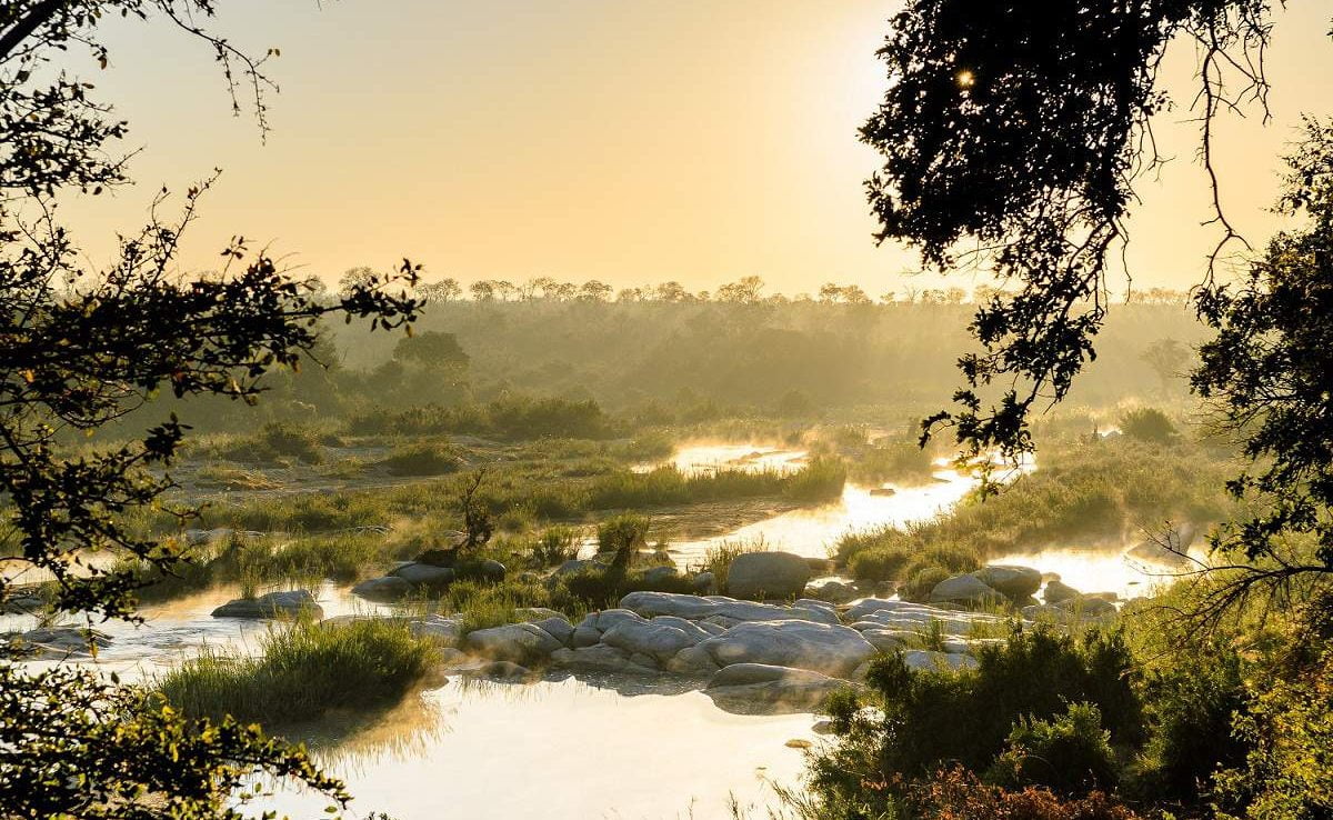 Abendstimmung im Sabi Sands Gebiet