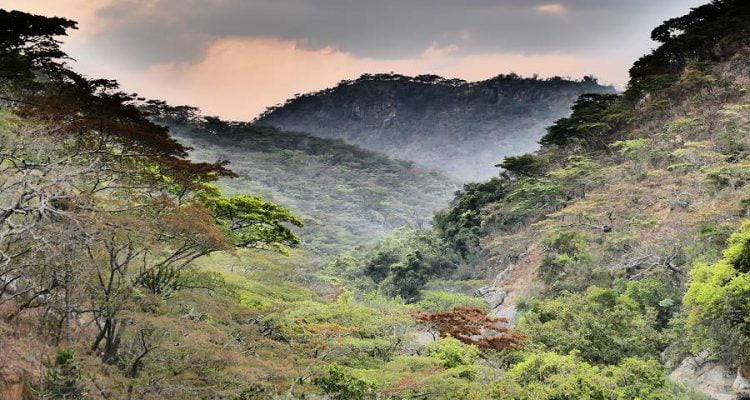 Die schönsten Bilder aus Simbabwe: Nyanga Nationalpark