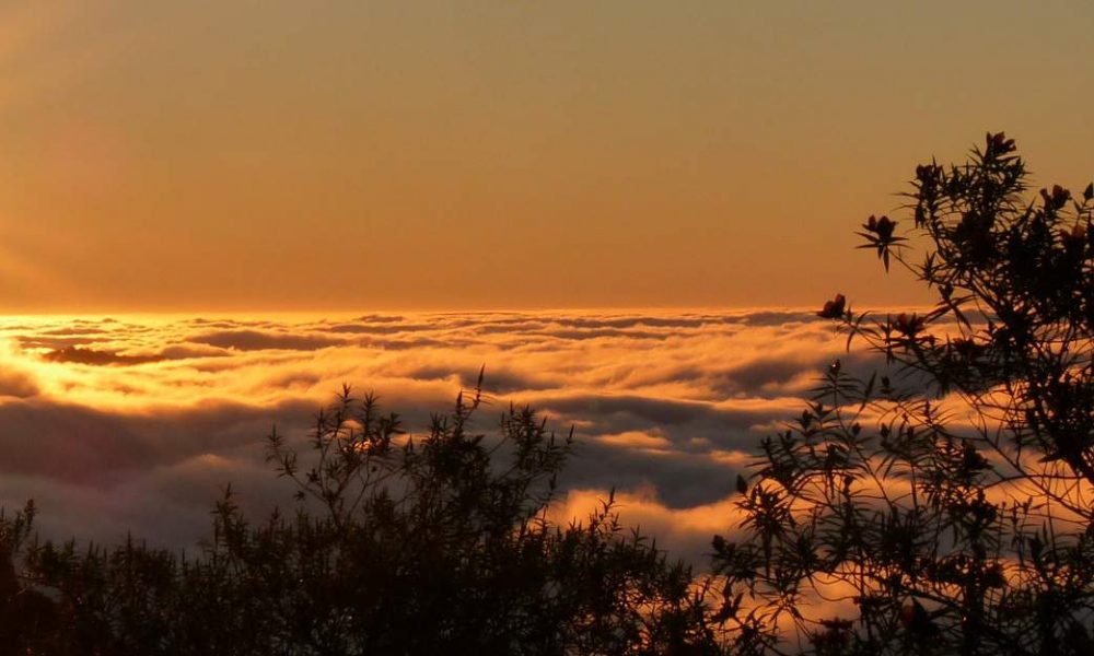 Buchen Sie Ihre Rundreise oder Ihren Badeurlaub auf La Réunion mit Genuss Touren