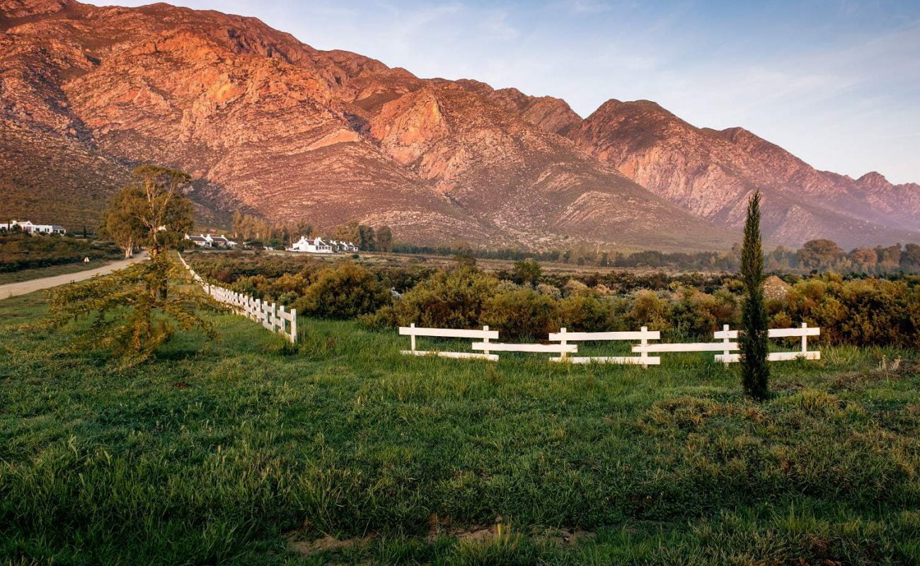 Vor der Kulisse der Langeberg Mountains
