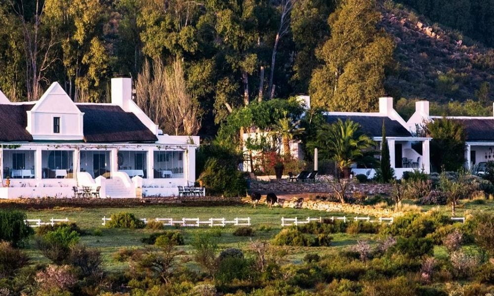 Galenia Estate in der Kleinen Karoo bei Montagu