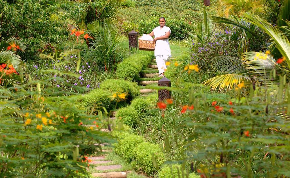 Im tropischen Garten der Lakaz Chamarel Exclusive Lodge