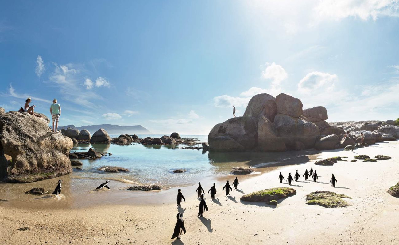 Boulders Beach mit den Brillenpinguinen