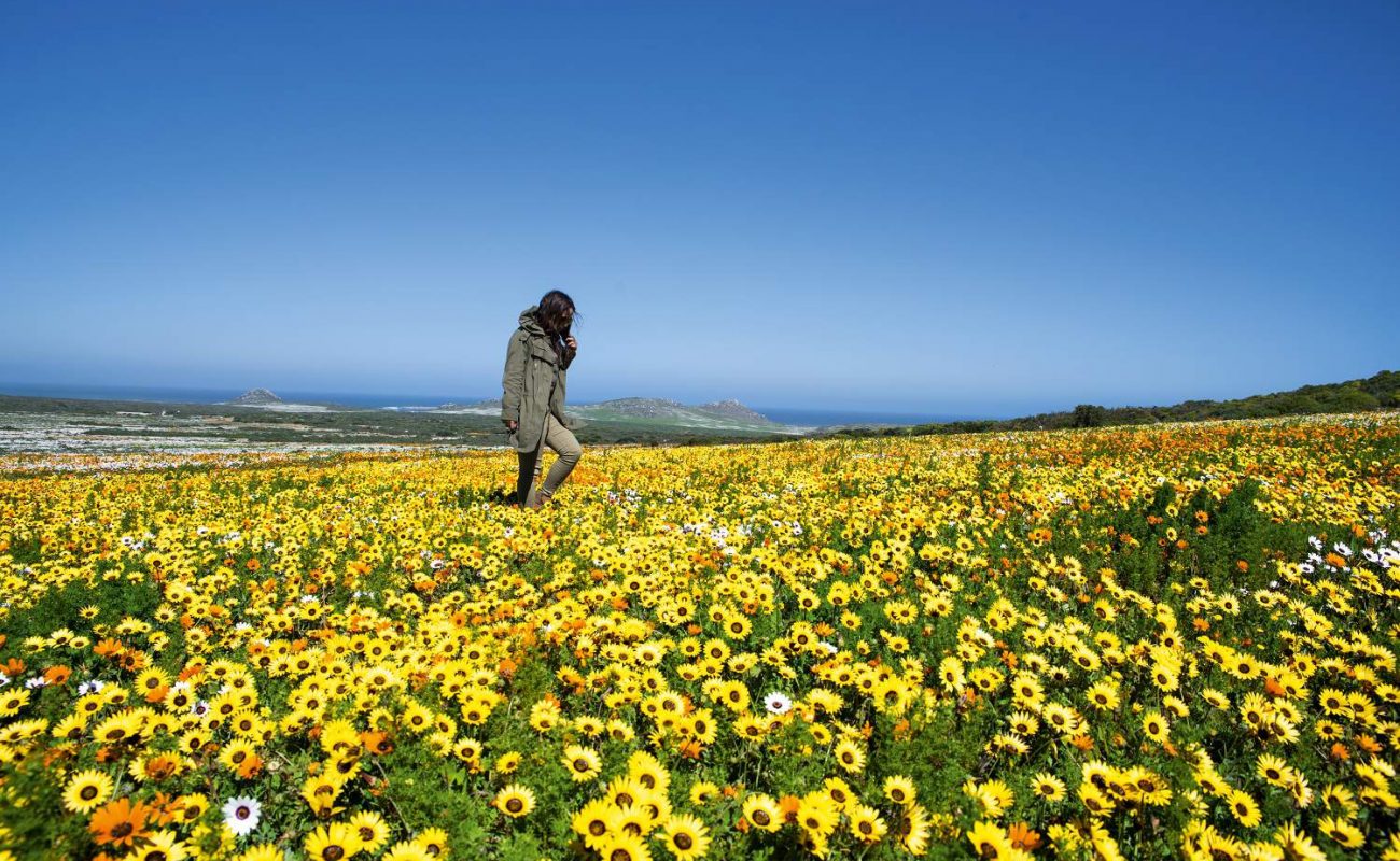 Frühling im Westcoast Nationalpark
