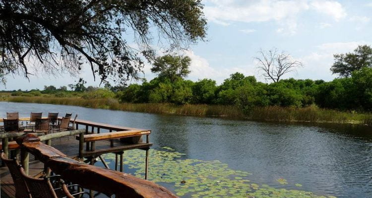 Savuti Channel der gestohlene Fluss