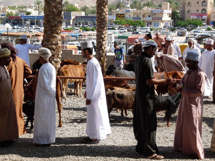 Verkauf auf dem Viehmarkt in Nizwa