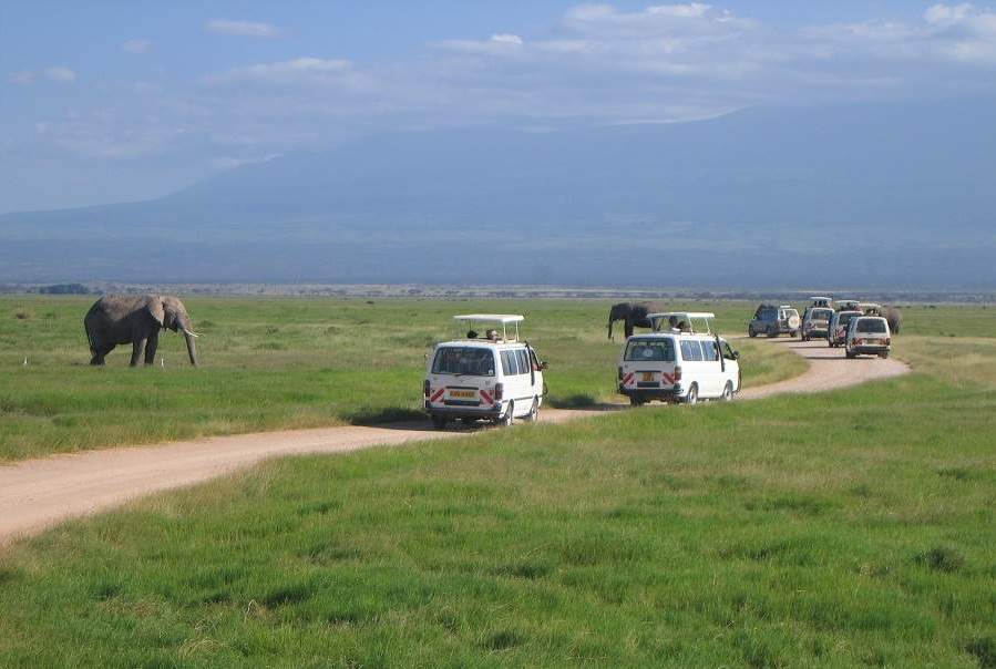 Minibus Safari im Amboseli