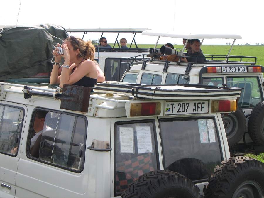 Safari in der Serengeti