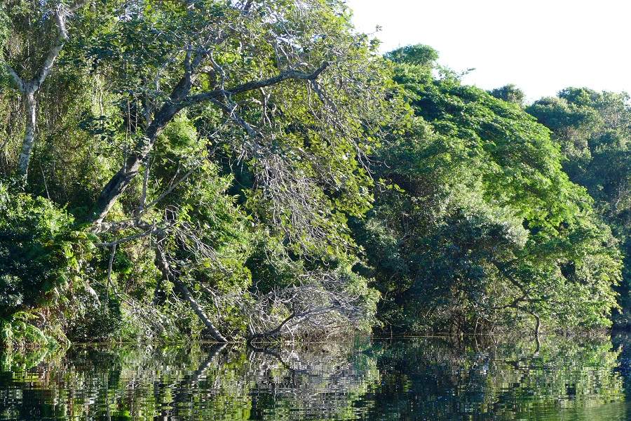 Flusslandschaft von Kosi Bay