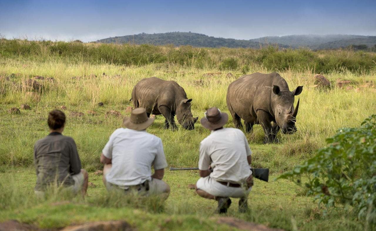 Pirschwanderung im malariafreien Welgevonden Game Reserve