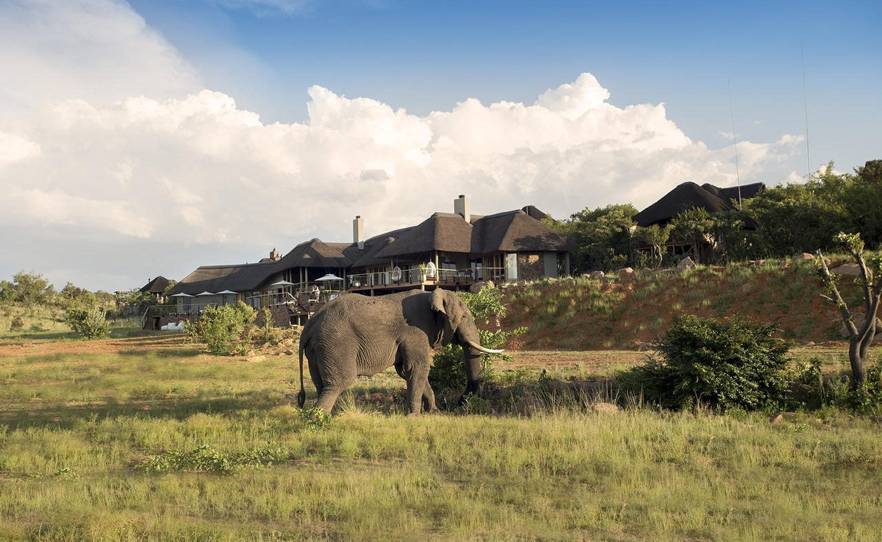 Elefant vor der Mhondoro Lodge