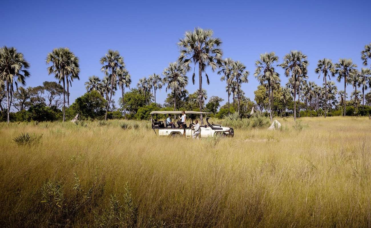 Pirschfahrt im Moremi Game Reserve