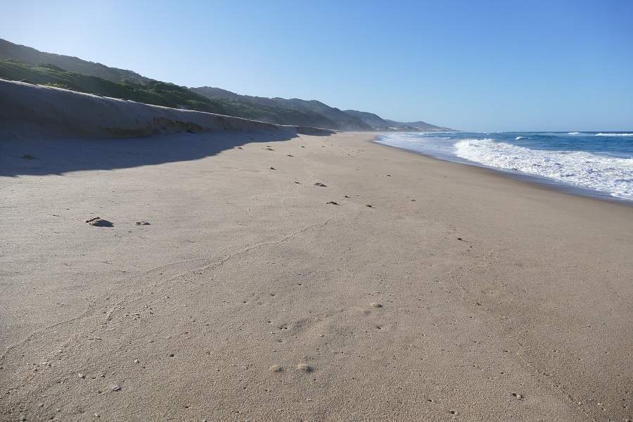 Strand Thonga Beach Mabibi