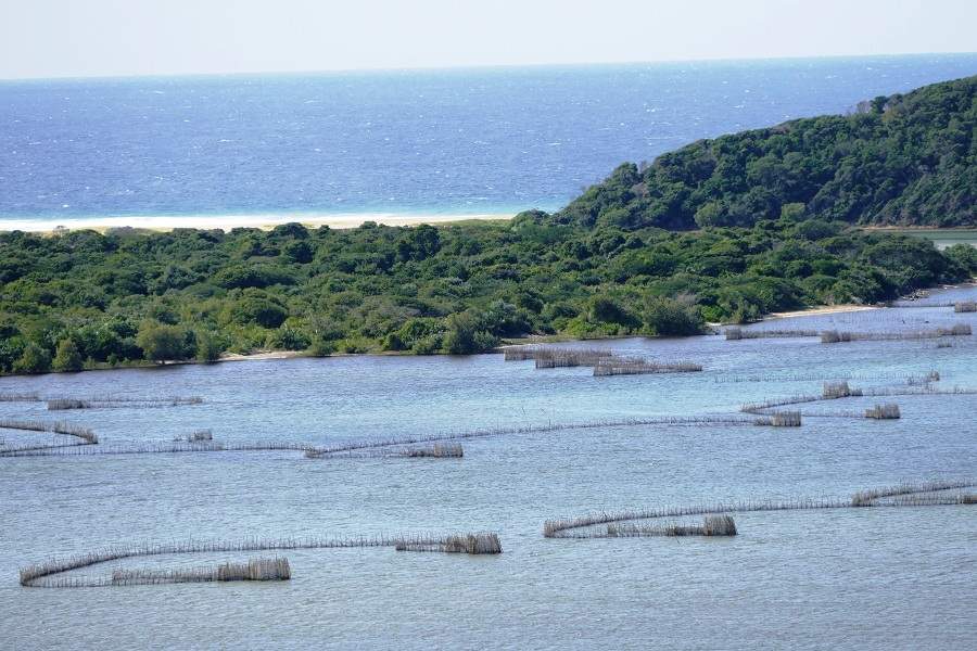 Fischen bei Kosi Bay mit Utshwayelo