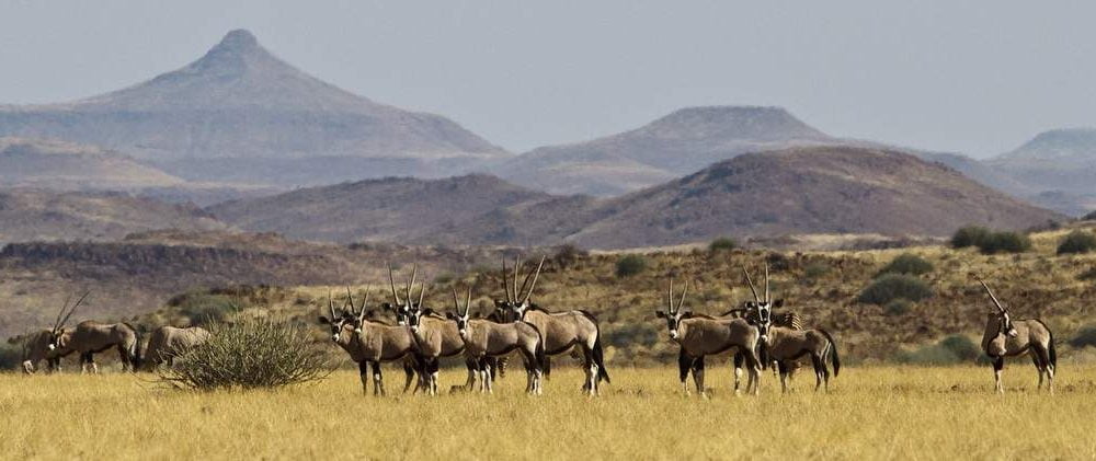 Exklusive Reisen in das Damaraland mit Namibia Spezialist Genuss Touren