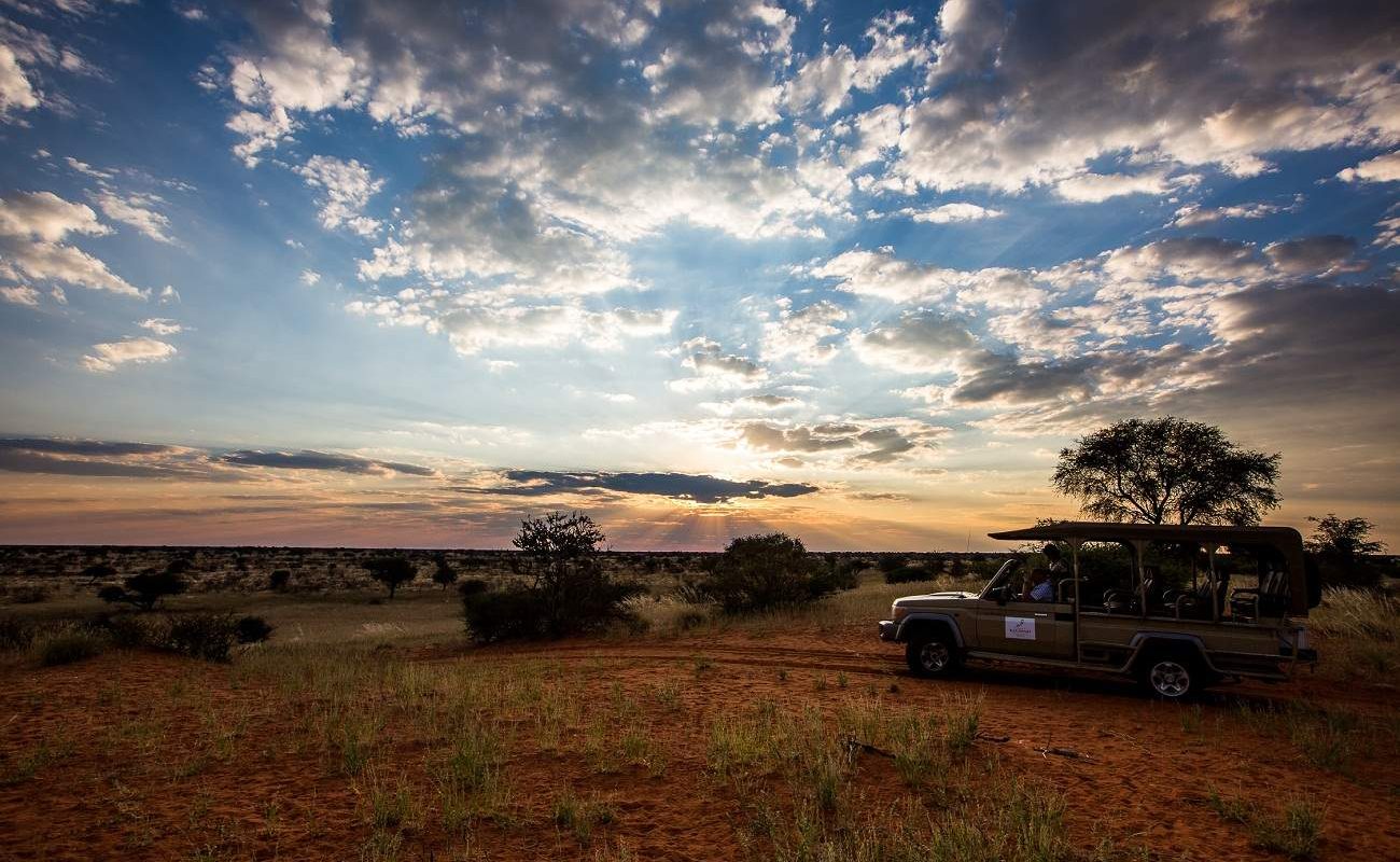 Pirschfahrt in der Kalahari