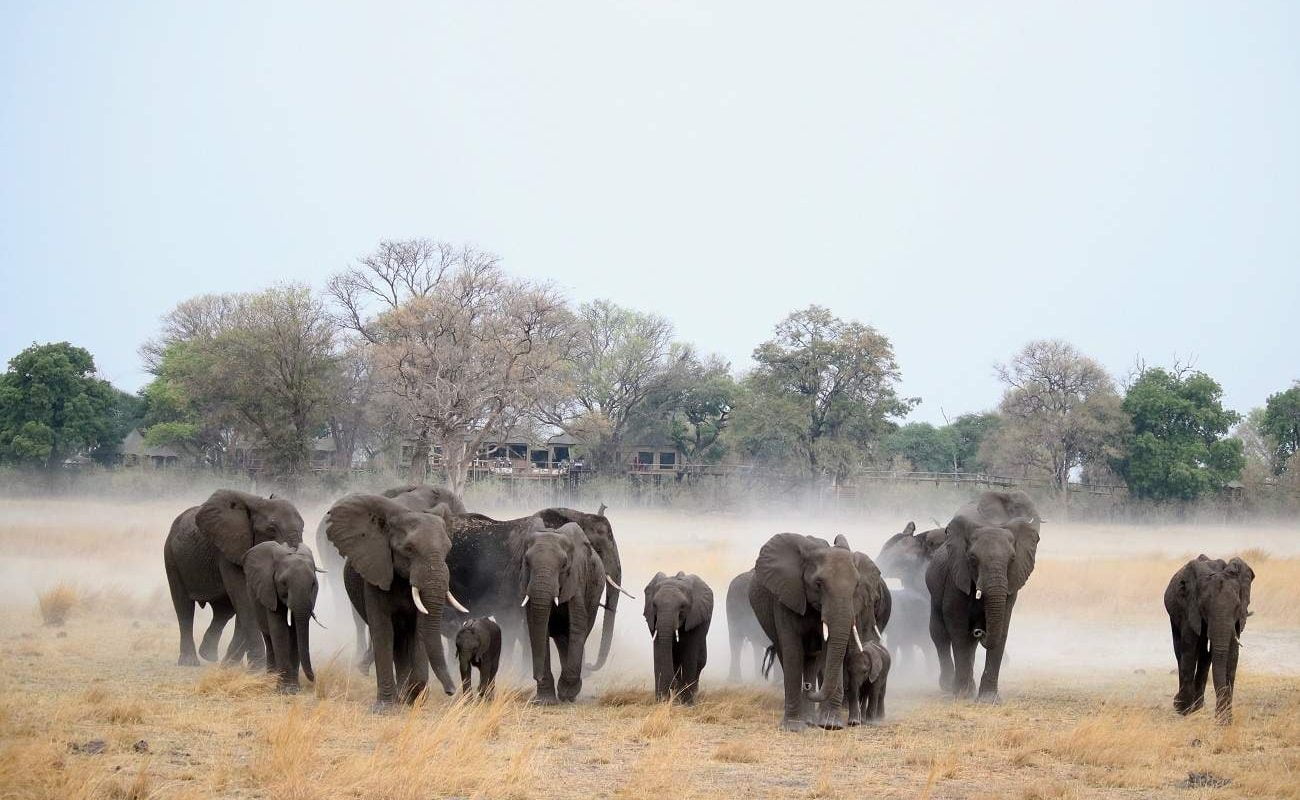 Elefanten im Bwabwata Nationalpark