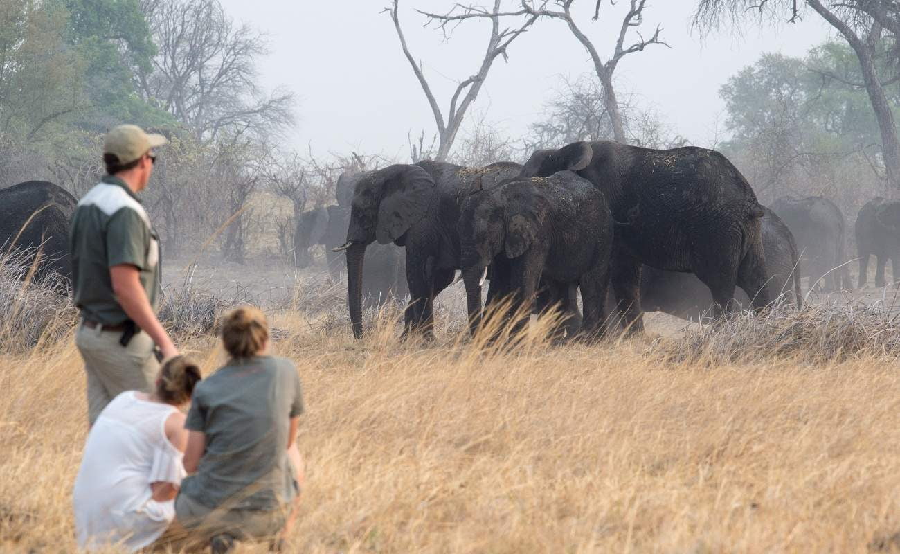 Walking Safari im Bwabwata ab Nambwa