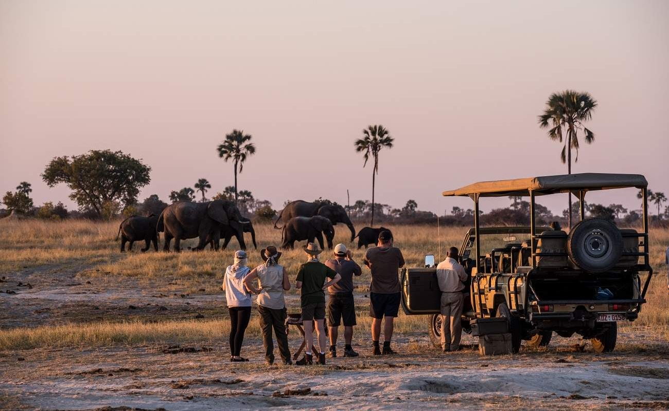 Pirschfahrt im Hwange