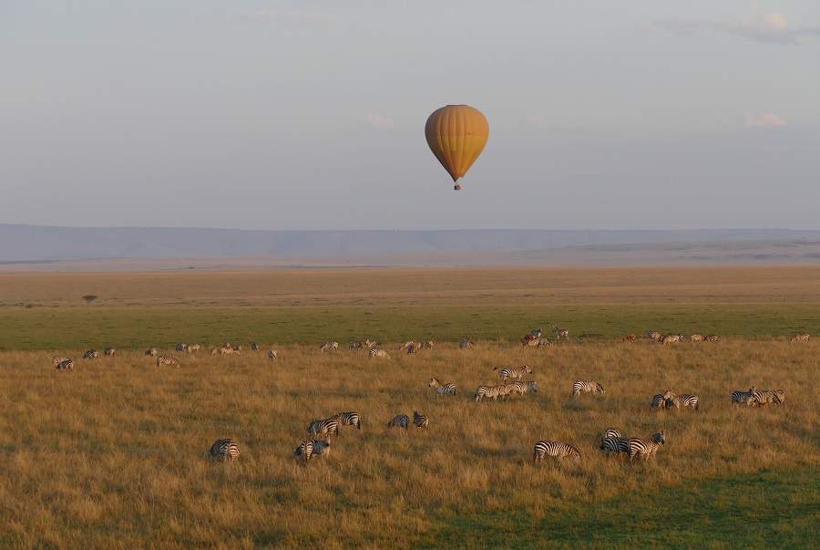 Zebras und Heißluftballon in der Masai Mara