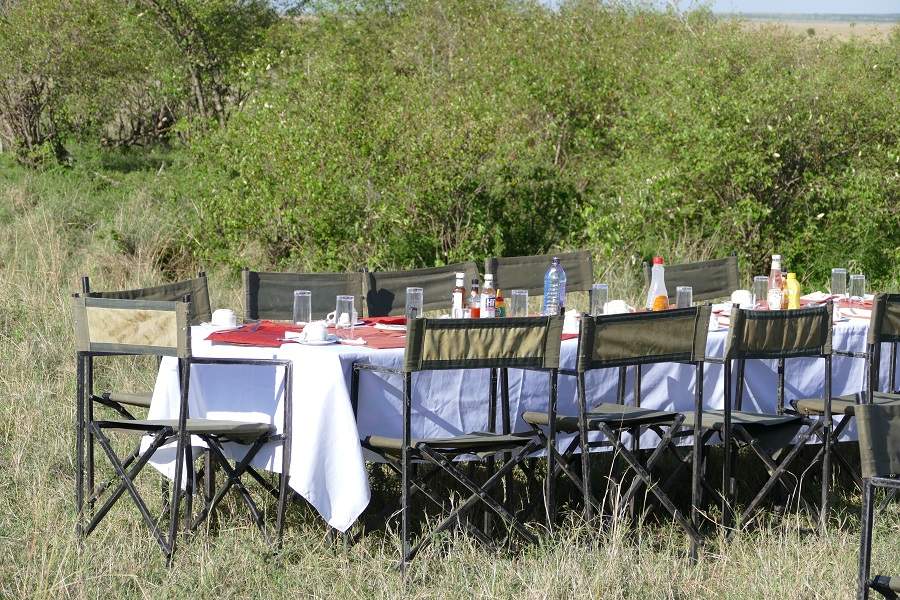 Bush Breakfast in der Masai Mara