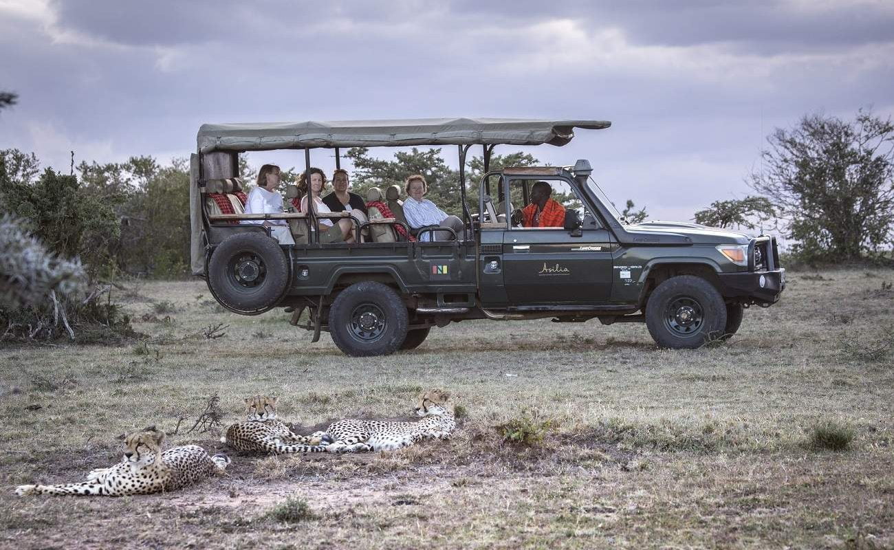 Pirschfahrt in der Naibosho Conservancy