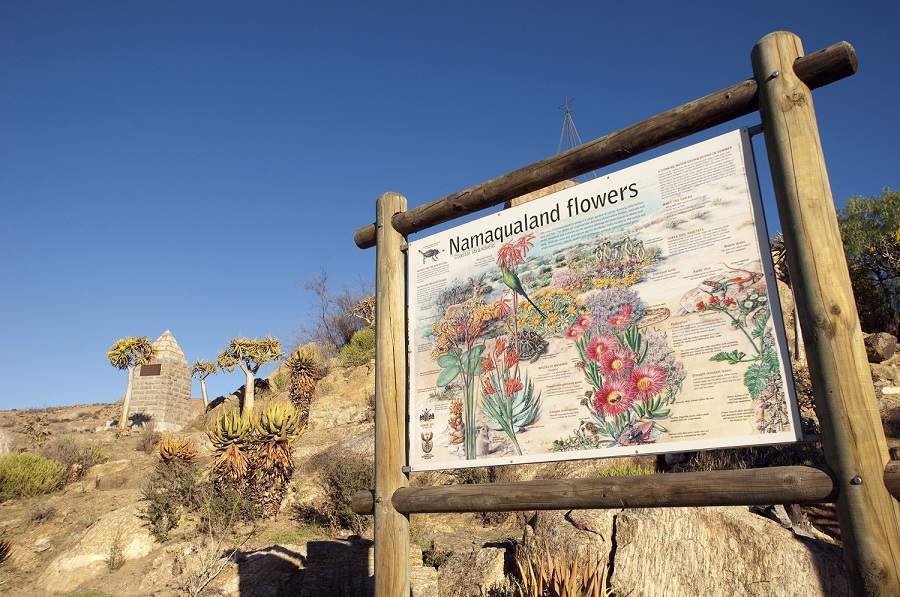 Kurzurlaub Frühling in Südafrika