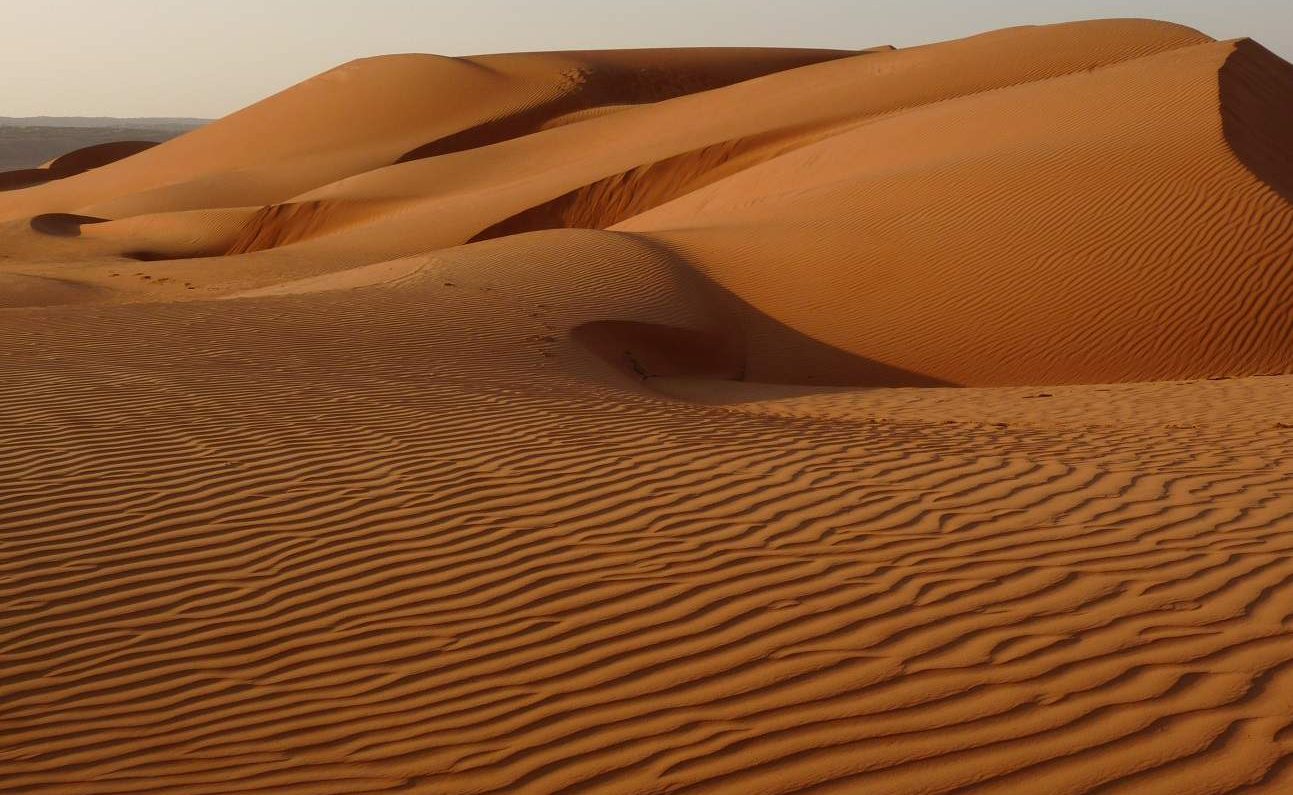 Ausflug in die Wüste während der Golfrundreise im Oman