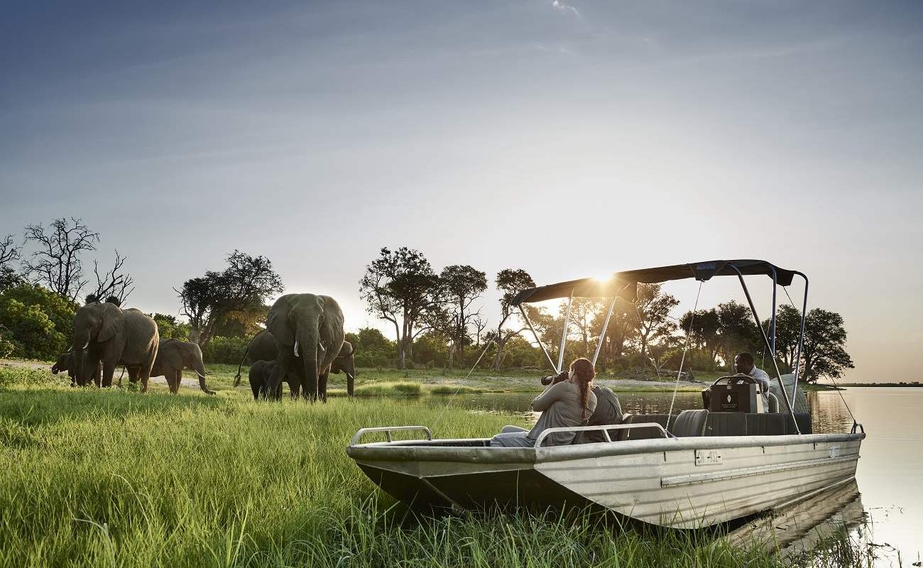 Bootsfahrt Chobe River Front mit Sanctuary