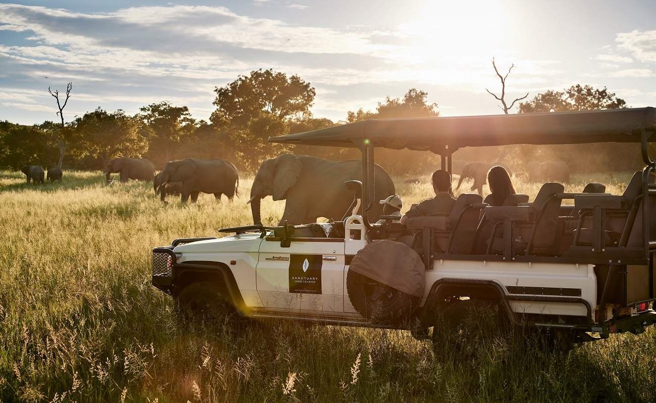Pirschfahrt im Geländewagen im Chobe National Park