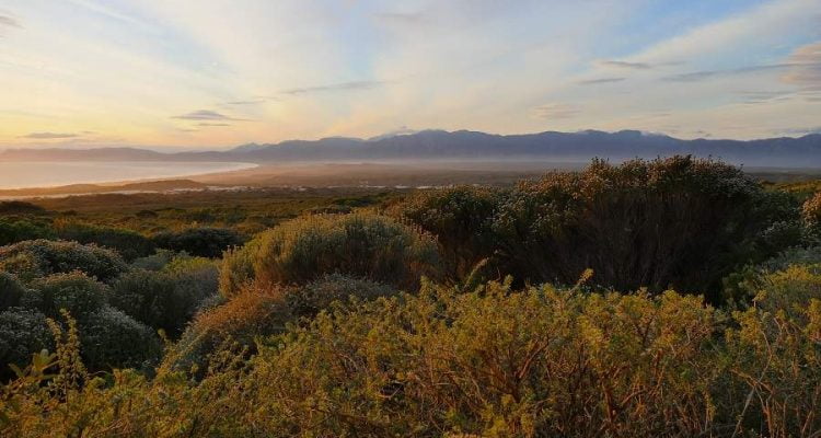 Grootbos Nature Reserve - Luxus und Nachhaltigkeit