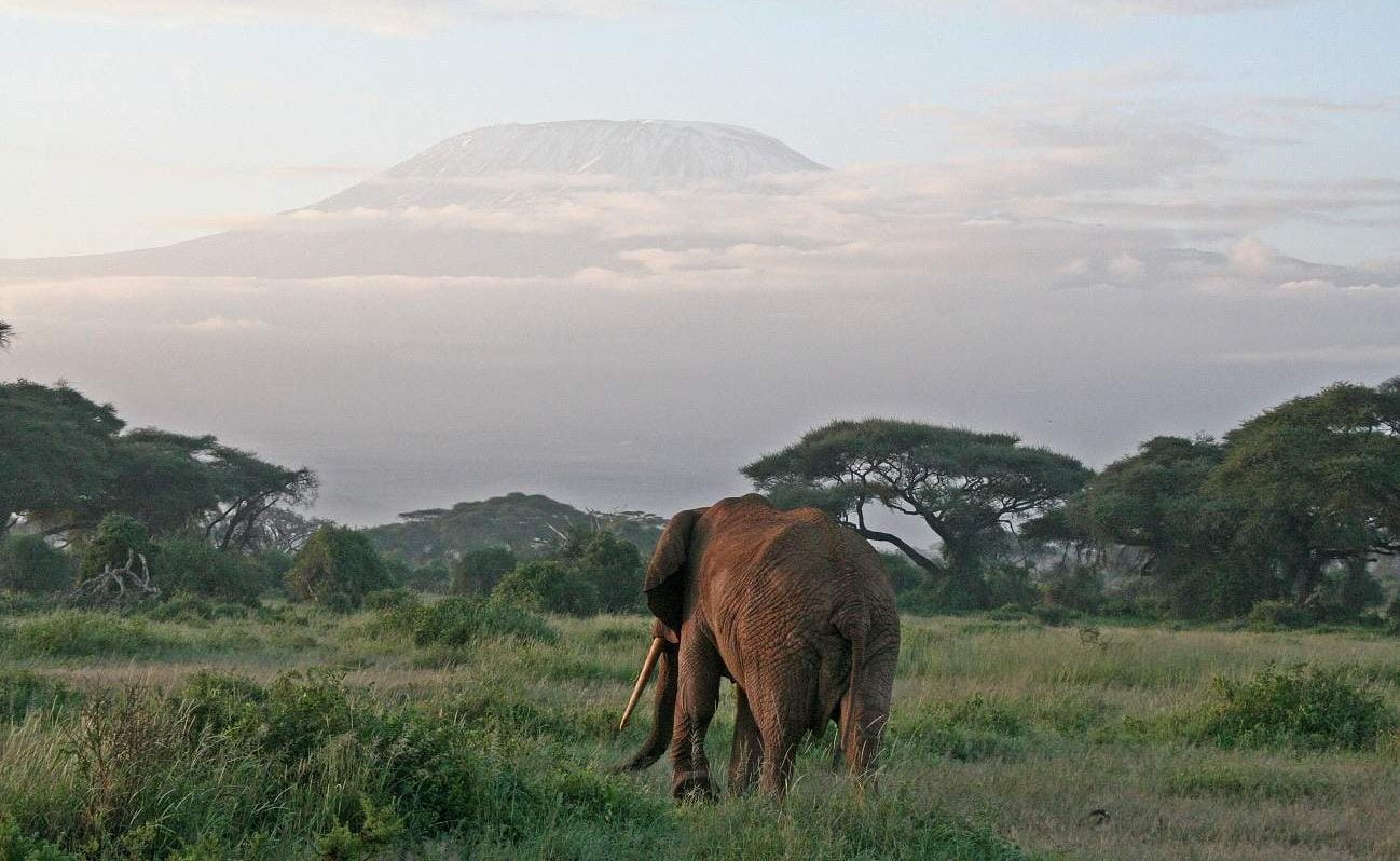 Kilimanjaro - Amboseli
