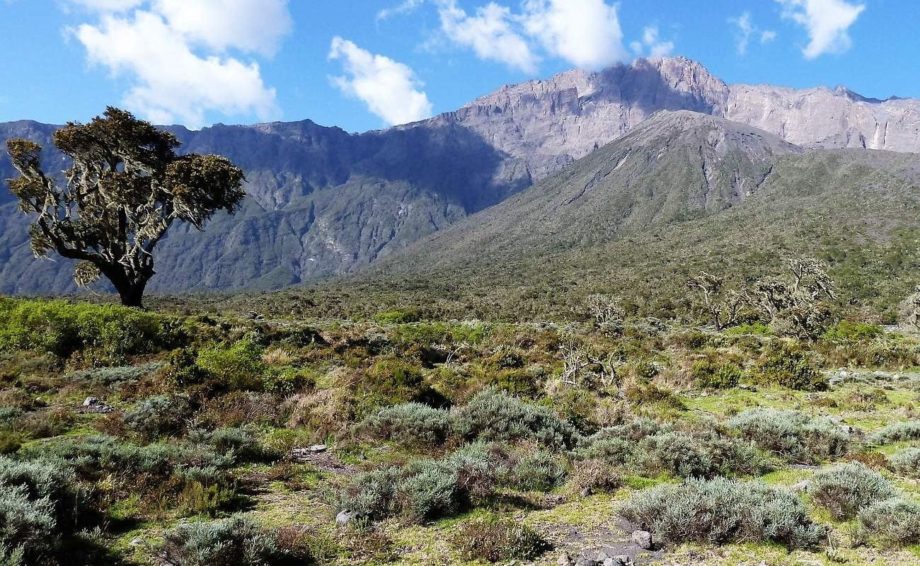 Mt. Meru Tansania