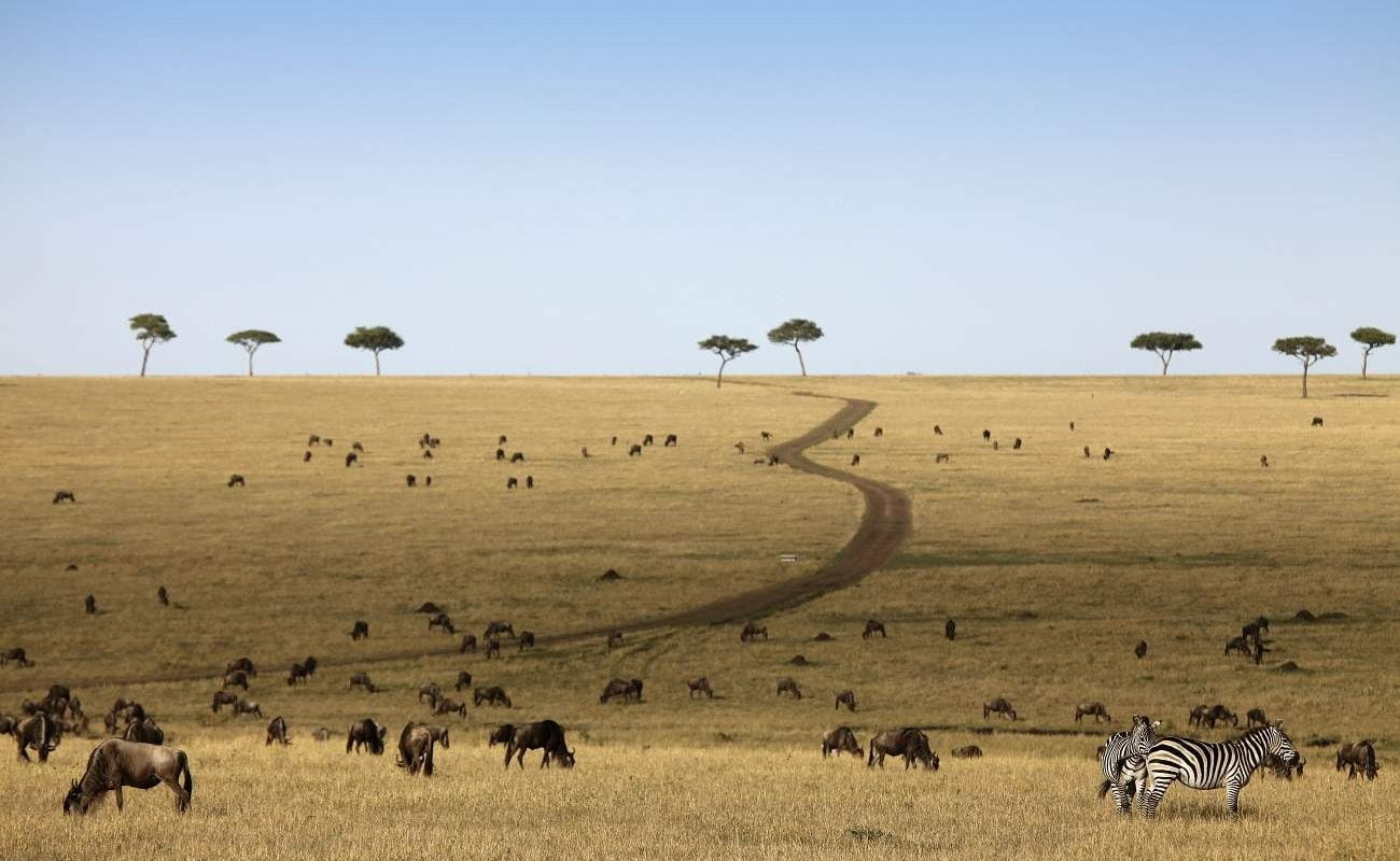 Serengeti, Tansania