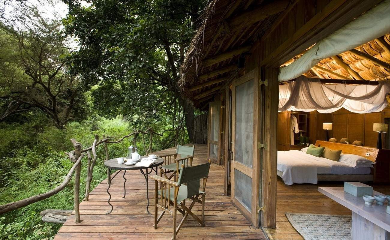 In den Wipfeln der Bäume "schweben" die Baumhäuser der Manyara Tree Lodge