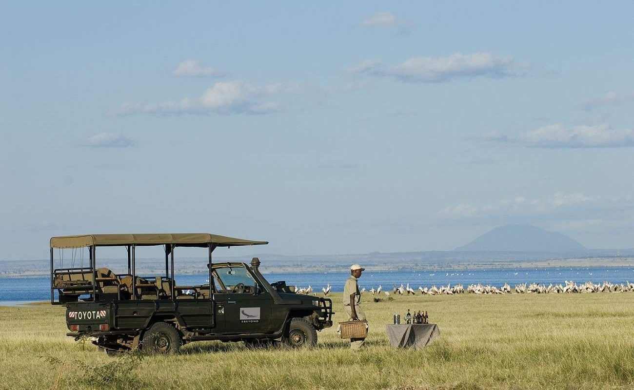 Im Lake Manyara sieht man auf einer Pirschfahrt viele Flamingos