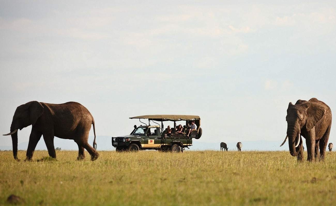Elefanten im der Masai Mara