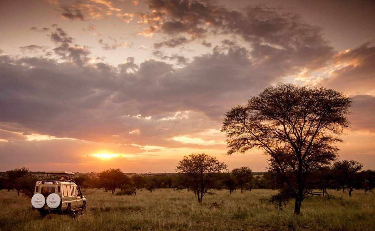 Sundowner in der Serengeti