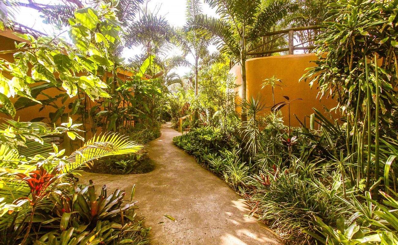 Der üppige Garten von Kwalucia