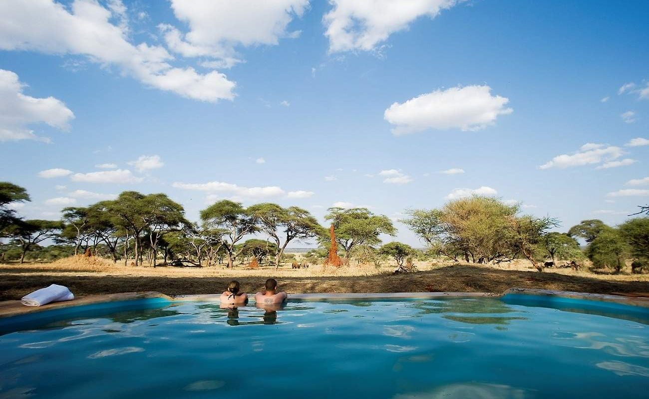 Vom Pool aus kann man oft die Tiere des Tarangire sehen