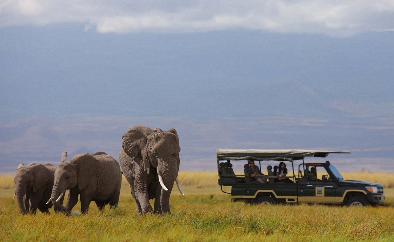 Für seine Elefanten ist der Amboseli bekannt