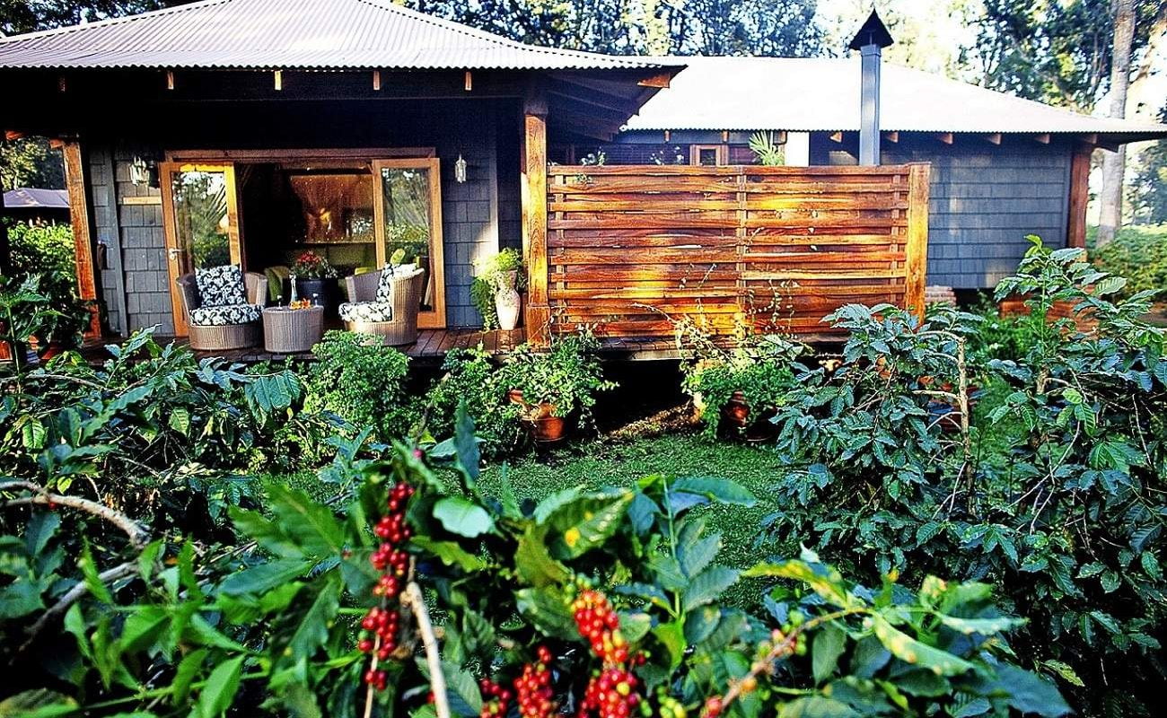 Plantation Suite, Arusha Coffee Lodge